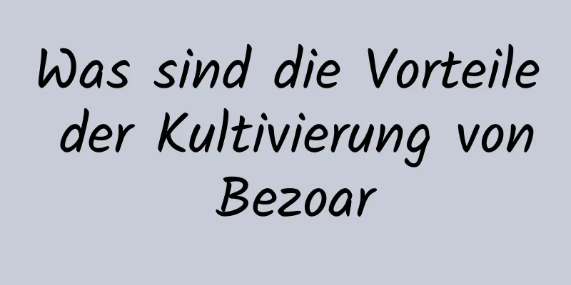 Was sind die Vorteile der Kultivierung von Bezoar