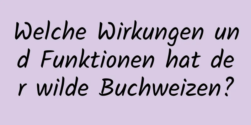 Welche Wirkungen und Funktionen hat der wilde Buchweizen?