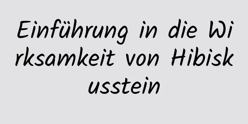 Einführung in die Wirksamkeit von Hibiskusstein