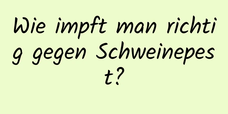 Wie impft man richtig gegen Schweinepest?