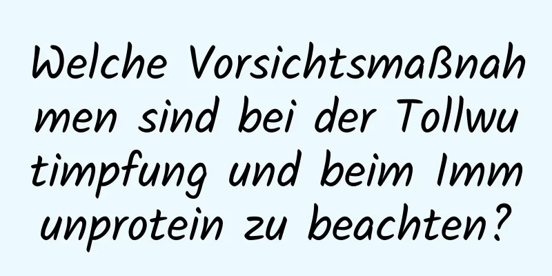 Welche Vorsichtsmaßnahmen sind bei der Tollwutimpfung und beim Immunprotein zu beachten?