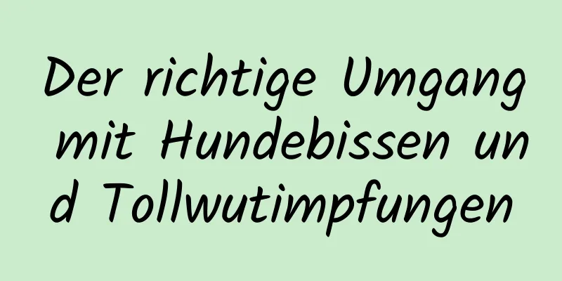 Der richtige Umgang mit Hundebissen und Tollwutimpfungen