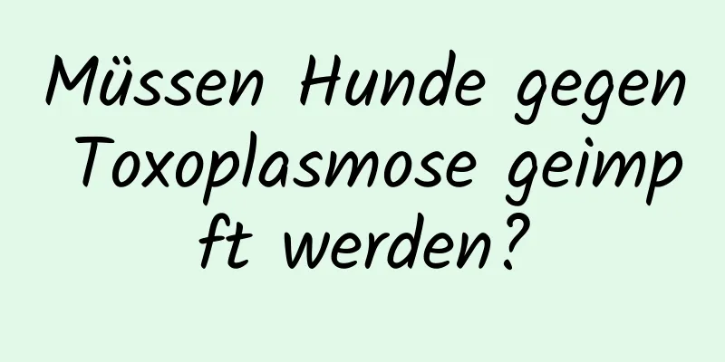 Müssen Hunde gegen Toxoplasmose geimpft werden?