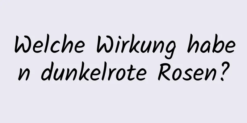 Welche Wirkung haben dunkelrote Rosen?