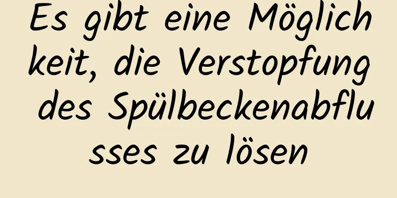 Es gibt eine Möglichkeit, die Verstopfung des Spülbeckenabflusses zu lösen