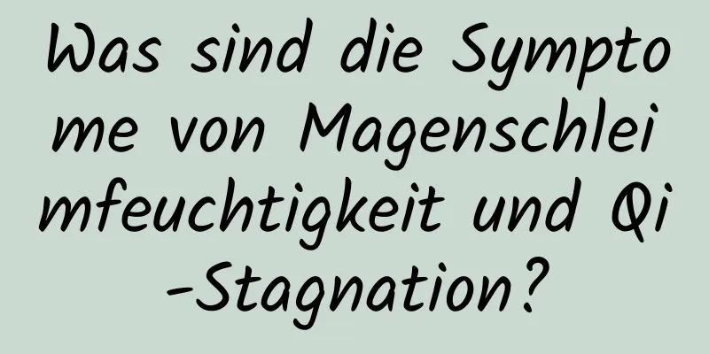 Was sind die Symptome von Magenschleimfeuchtigkeit und Qi-Stagnation?