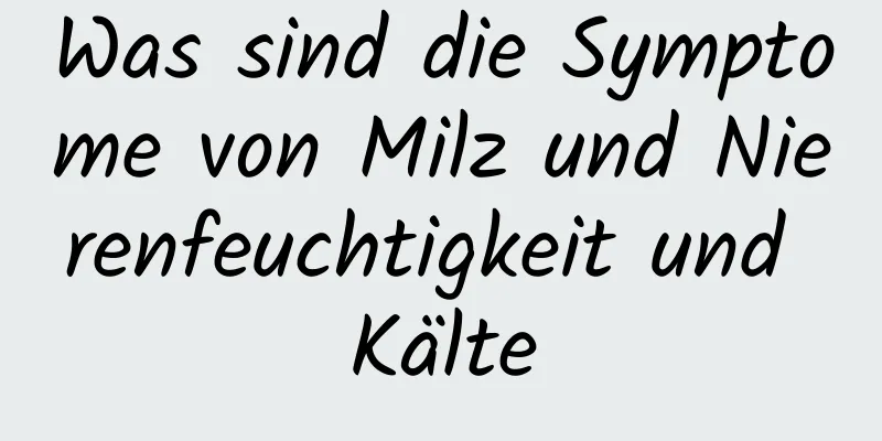 Was sind die Symptome von Milz und Nierenfeuchtigkeit und Kälte