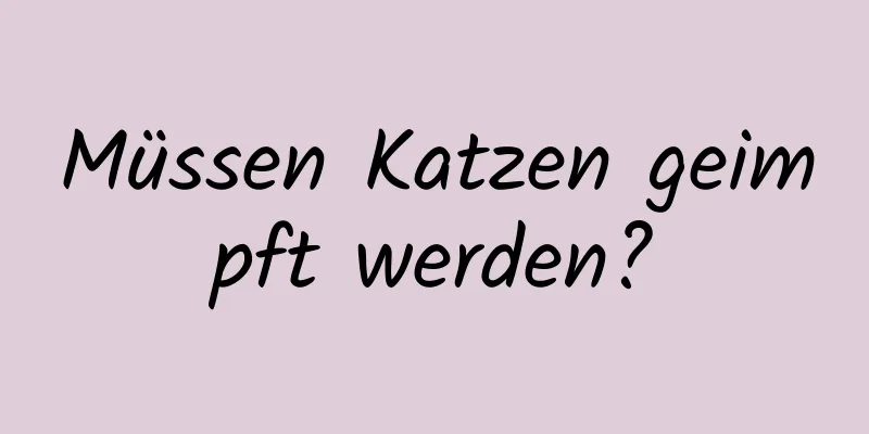 Müssen Katzen geimpft werden?