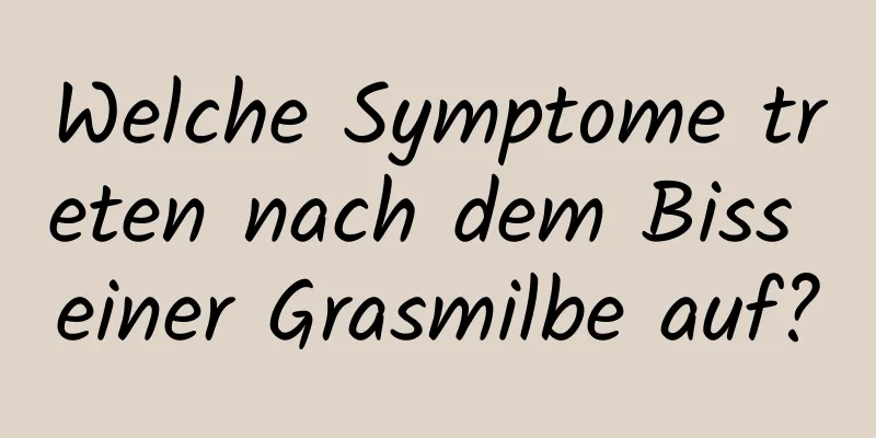 Welche Symptome treten nach dem Biss einer Grasmilbe auf?