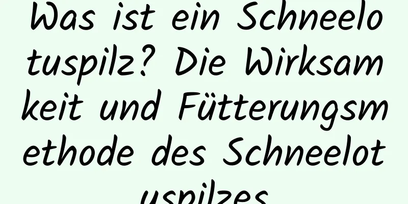 Was ist ein Schneelotuspilz? Die Wirksamkeit und Fütterungsmethode des Schneelotuspilzes