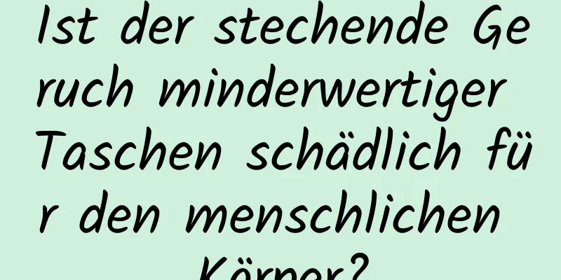 Ist der stechende Geruch minderwertiger Taschen schädlich für den menschlichen Körper?