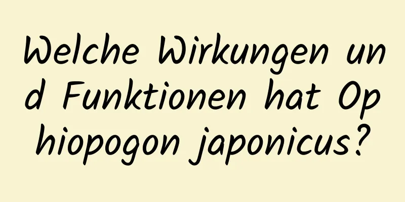 Welche Wirkungen und Funktionen hat Ophiopogon japonicus?