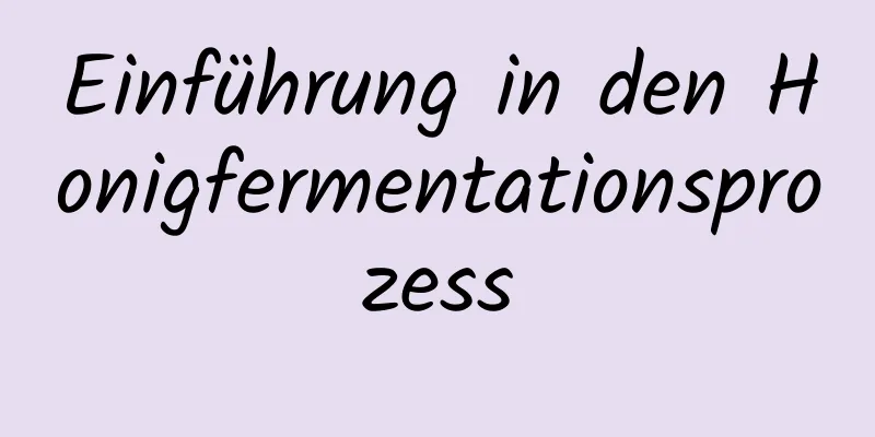 Einführung in den Honigfermentationsprozess