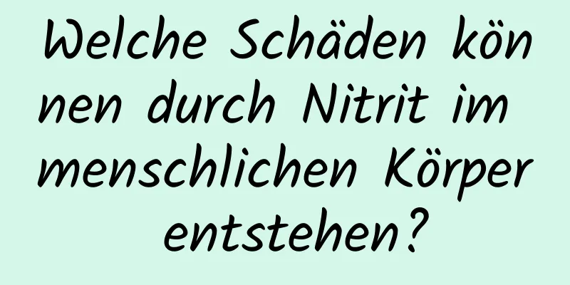 Welche Schäden können durch Nitrit im menschlichen Körper entstehen?