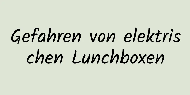 Gefahren von elektrischen Lunchboxen
