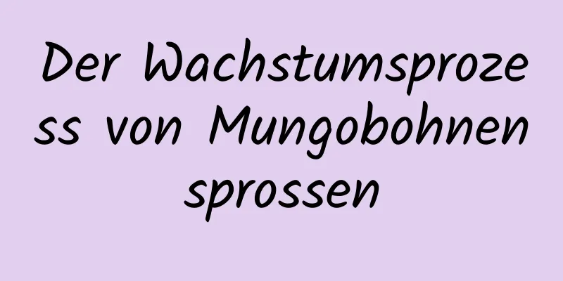 Der Wachstumsprozess von Mungobohnensprossen