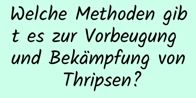 Welche Methoden gibt es zur Vorbeugung und Bekämpfung von Thripsen?
