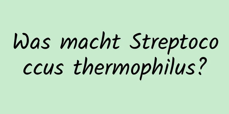 Was macht Streptococcus thermophilus?