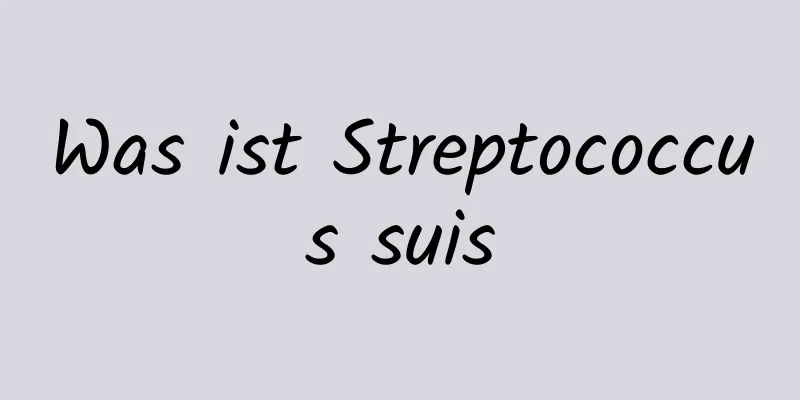 Was ist Streptococcus suis