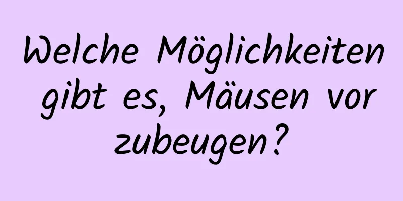 Welche Möglichkeiten gibt es, Mäusen vorzubeugen?