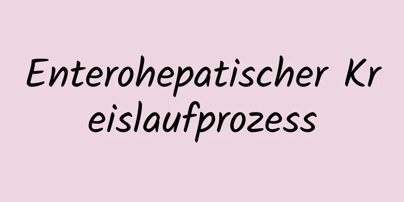 Enterohepatischer Kreislaufprozess