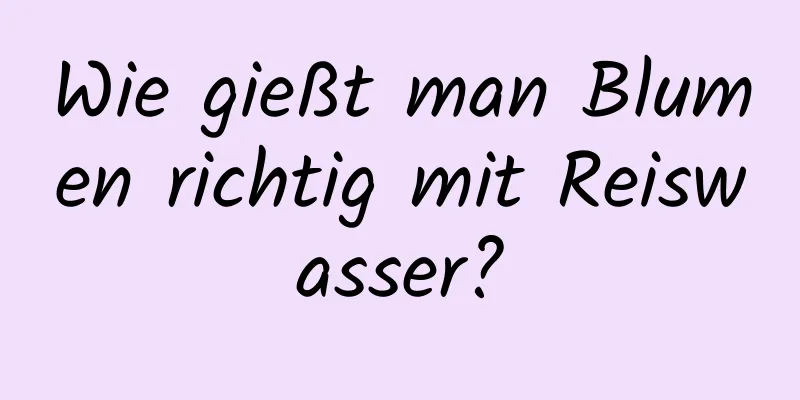 Wie gießt man Blumen richtig mit Reiswasser?