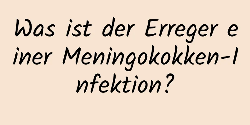 Was ist der Erreger einer Meningokokken-Infektion?