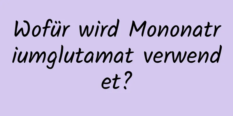 Wofür wird Mononatriumglutamat verwendet?