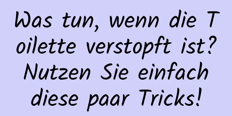 Was tun, wenn die Toilette verstopft ist? Nutzen Sie einfach diese paar Tricks!