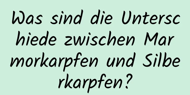 Was sind die Unterschiede zwischen Marmorkarpfen und Silberkarpfen?