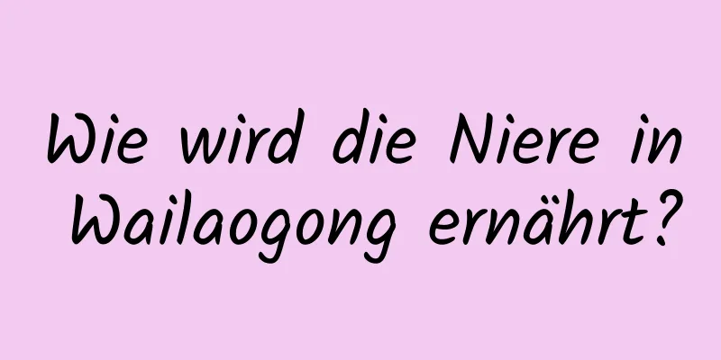 Wie wird die Niere in Wailaogong ernährt?