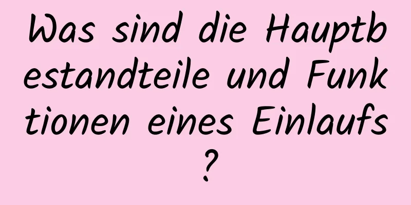 Was sind die Hauptbestandteile und Funktionen eines Einlaufs?