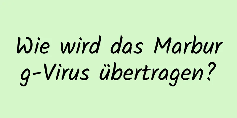 Wie wird das Marburg-Virus übertragen?