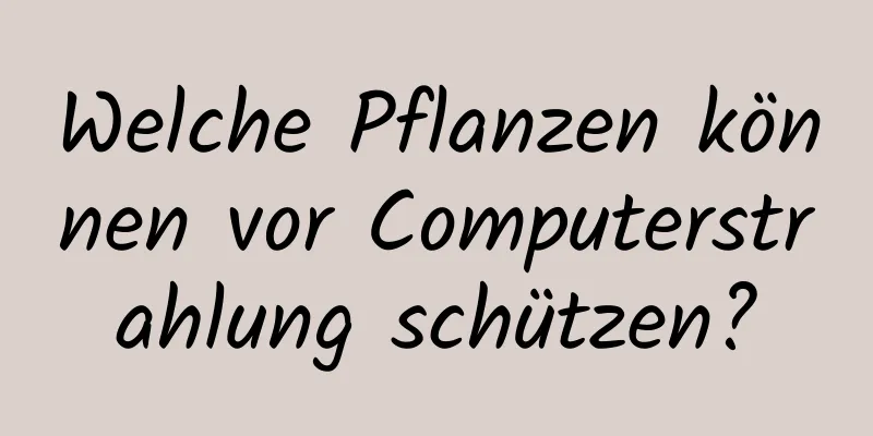 Welche Pflanzen können vor Computerstrahlung schützen?