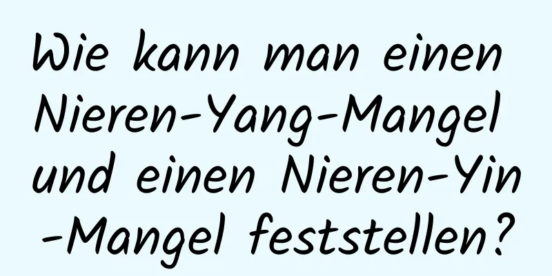 Wie kann man einen Nieren-Yang-Mangel und einen Nieren-Yin-Mangel feststellen?