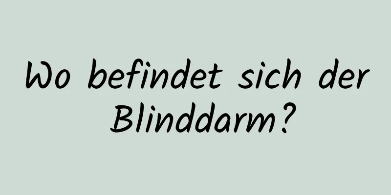 Wo befindet sich der Blinddarm?