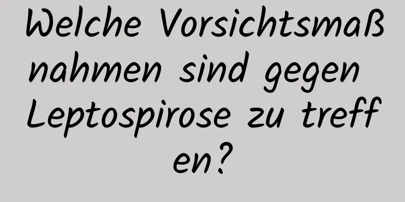 Welche Vorsichtsmaßnahmen sind gegen Leptospirose zu treffen?