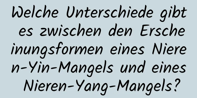 Welche Unterschiede gibt es zwischen den Erscheinungsformen eines Nieren-Yin-Mangels und eines Nieren-Yang-Mangels?
