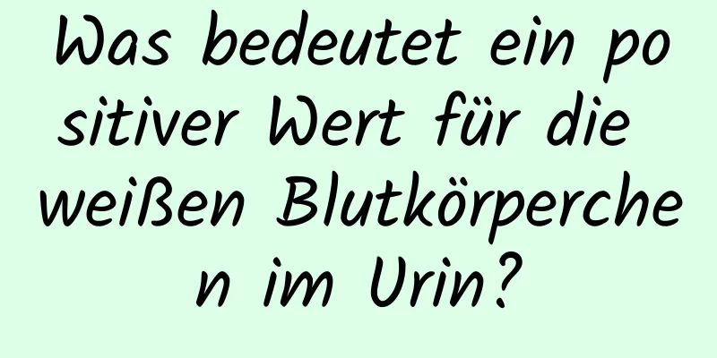 Was bedeutet ein positiver Wert für die weißen Blutkörperchen im Urin?