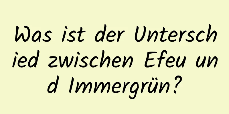 Was ist der Unterschied zwischen Efeu und Immergrün?