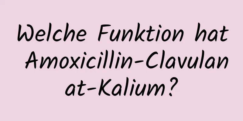 Welche Funktion hat Amoxicillin-Clavulanat-Kalium?