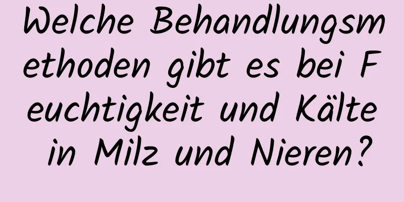 Welche Behandlungsmethoden gibt es bei Feuchtigkeit und Kälte in Milz und Nieren?