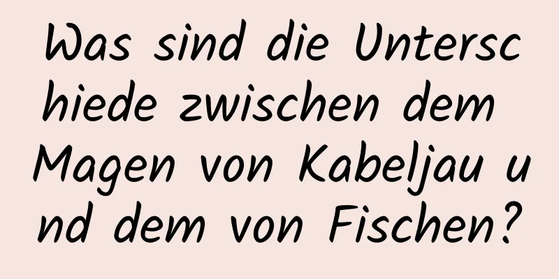 Was sind die Unterschiede zwischen dem Magen von Kabeljau und dem von Fischen?
