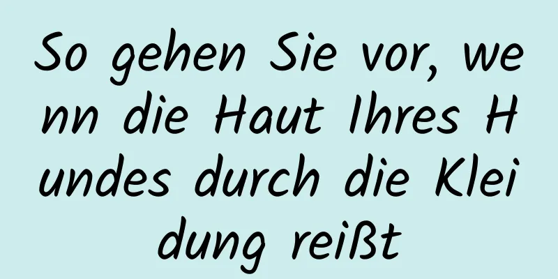 So gehen Sie vor, wenn die Haut Ihres Hundes durch die Kleidung reißt