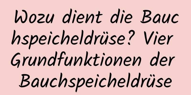 Wozu dient die Bauchspeicheldrüse? Vier Grundfunktionen der Bauchspeicheldrüse