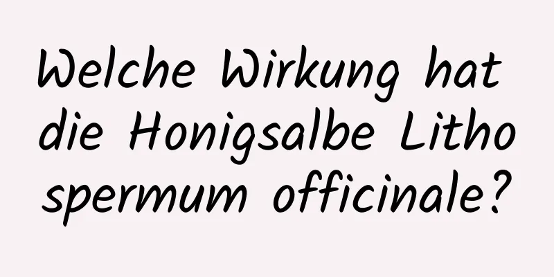 Welche Wirkung hat die Honigsalbe Lithospermum officinale?