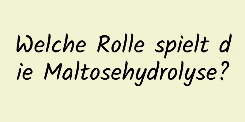 Welche Rolle spielt die Maltosehydrolyse?