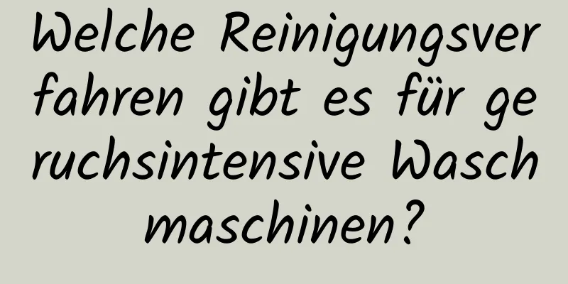 Welche Reinigungsverfahren gibt es für geruchsintensive Waschmaschinen?