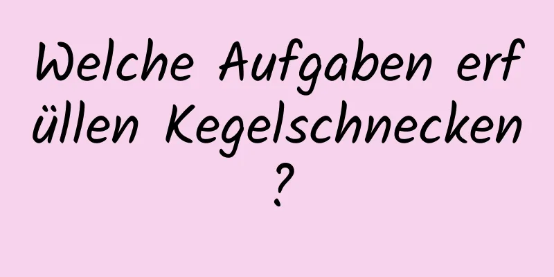 Welche Aufgaben erfüllen Kegelschnecken?
