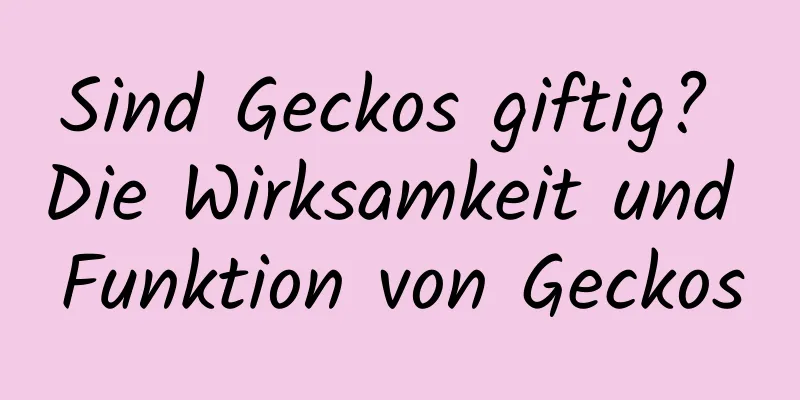 Sind Geckos giftig? Die Wirksamkeit und Funktion von Geckos